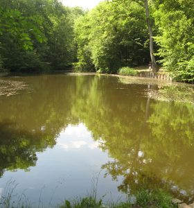 L'Etang Marie