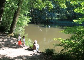 L'Etang Marie de Saint-Prix