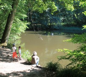 L'Etang Marie de Saint-Prix