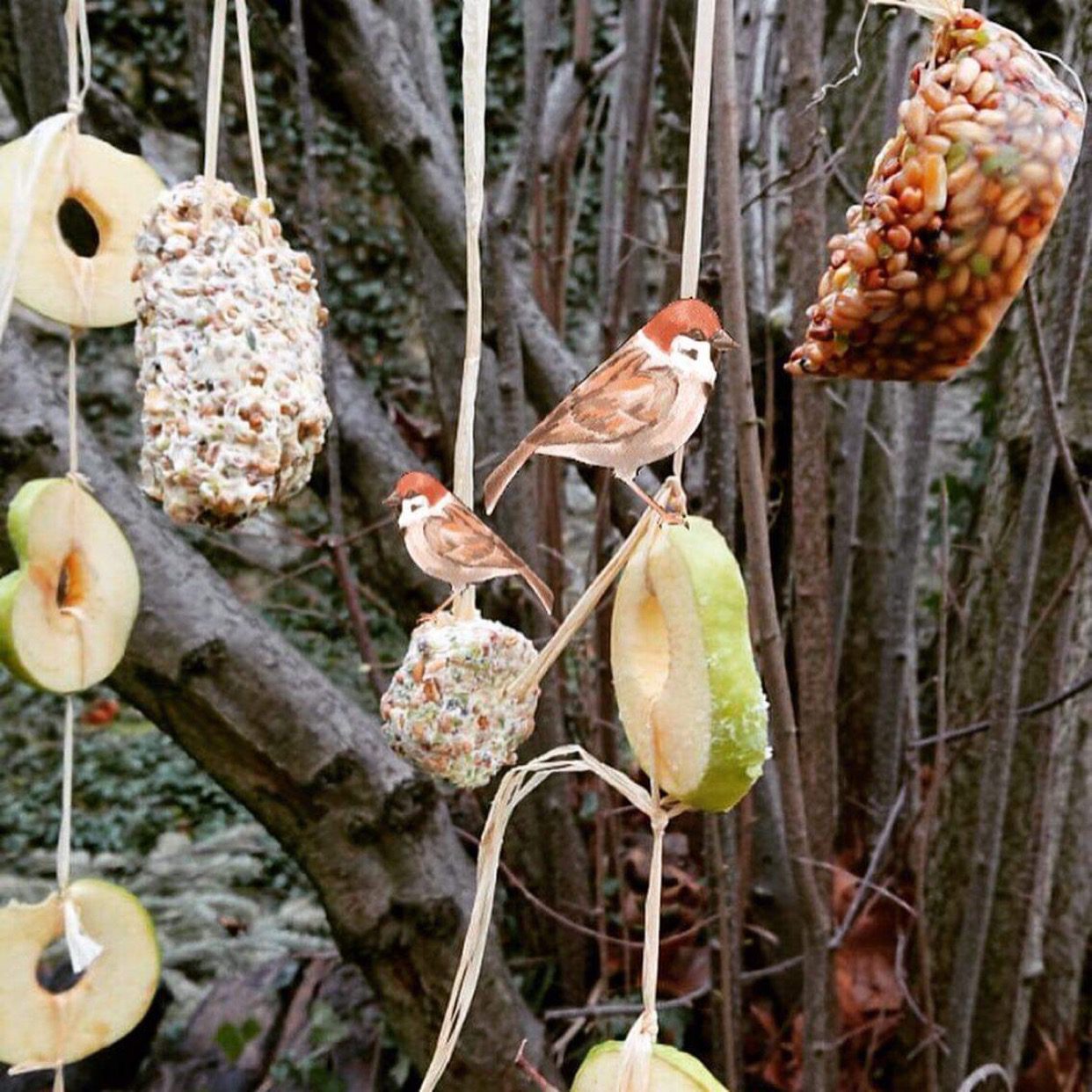 Des boules de graines pour les oiseaux du jardin à faire avec les enfants –  Mieux vivre autrement