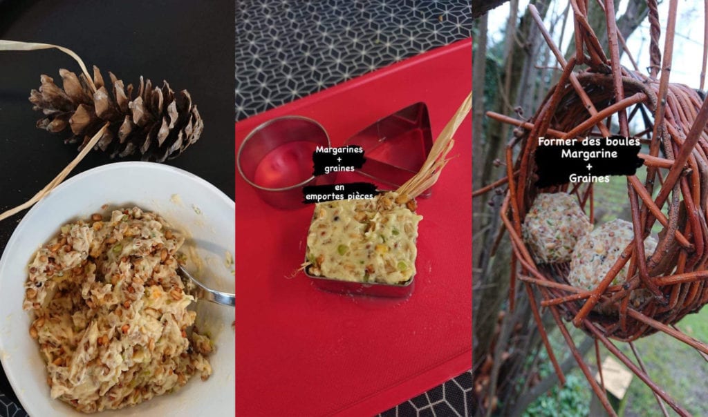 recette boules de graines pour oiseaux 1